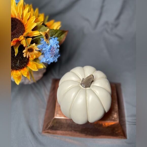 5” NEW! Creamy White Pumpkin Table Decor Fall Harvest Autumn Thanksgiving - Picture 4 of 8